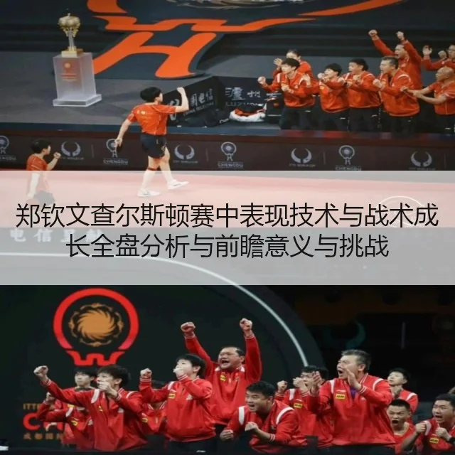 郑钦文查尔斯顿赛中表现技术与战术成长全盘分析与前瞻意义与挑战